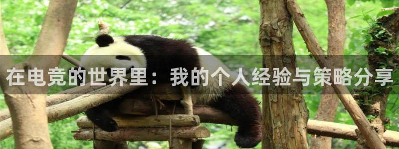 威客电竞·(中国)VKGAMING