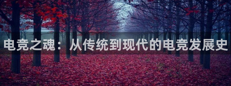 vkgame威客电竞官网