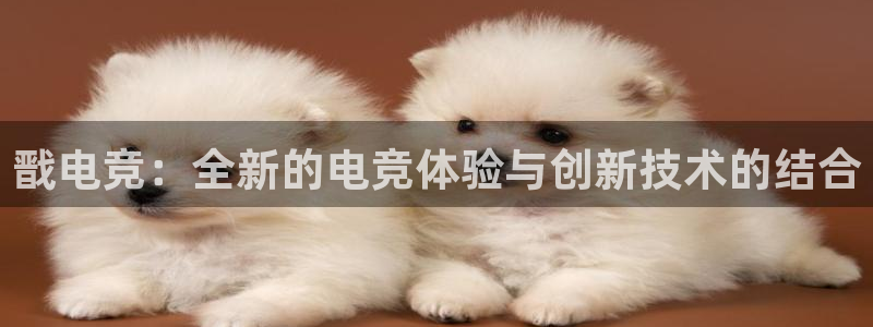 威客电竞官网登录入口