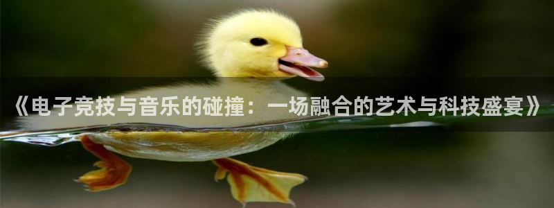 威客电竞官网登录入口