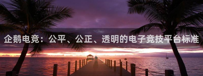 威客电竞官网登录入口