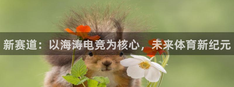 威客电竞官网登录入口：新赛道：以海涛电竞为核心，未来体育新纪元