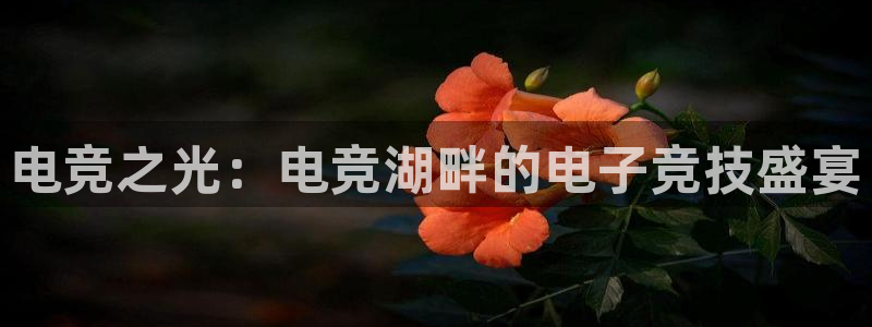 vkgame威客电竞：电竞之光：电竞湖畔的电子竞技盛宴