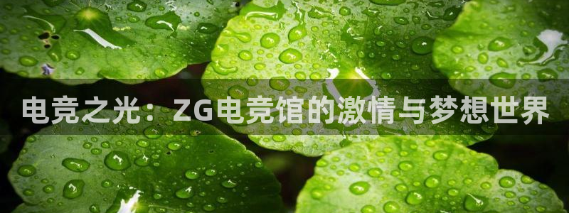 威客电竞客：电竞之光：ZG电竞馆的激情与梦想世界