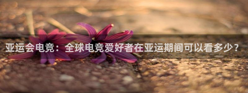威客电竞测速