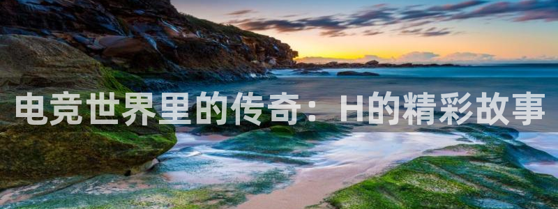 威客电竞·(中国)VKGAMING