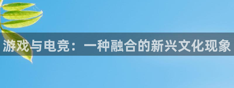 威客电竞 optic