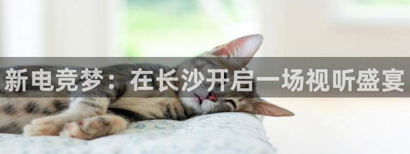威客电竞