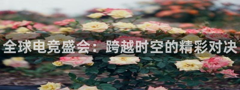 vkgame威客电竞官网