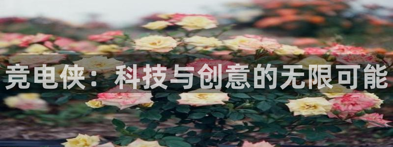 威客电竞集团