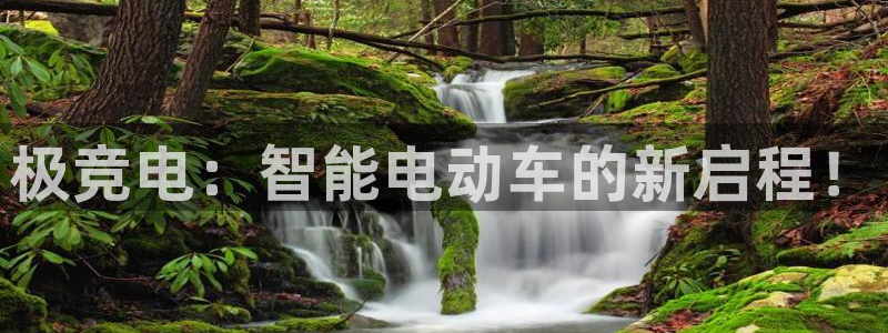 威客电竞测速：极竞电：智能电动车的新启程！