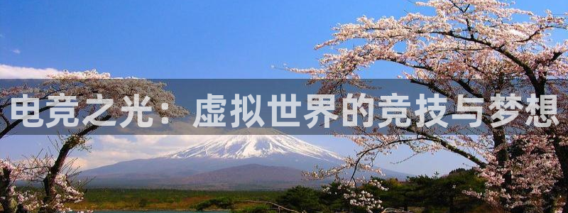 威客电竞官网下载：电竞之光：虚拟世界的竞技与梦想