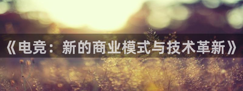 vkgame威客电竞官网：《电竞：新的商业模式与技术革新》